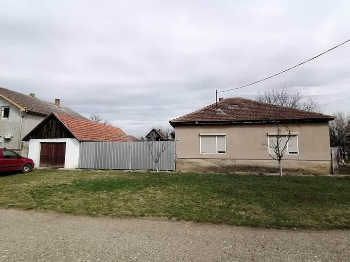 slika
