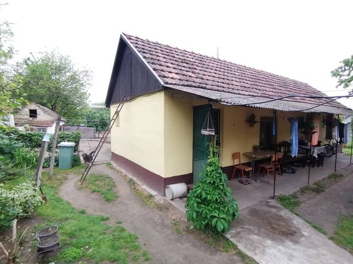 slika