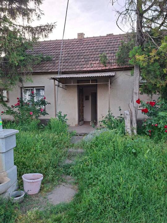 slika