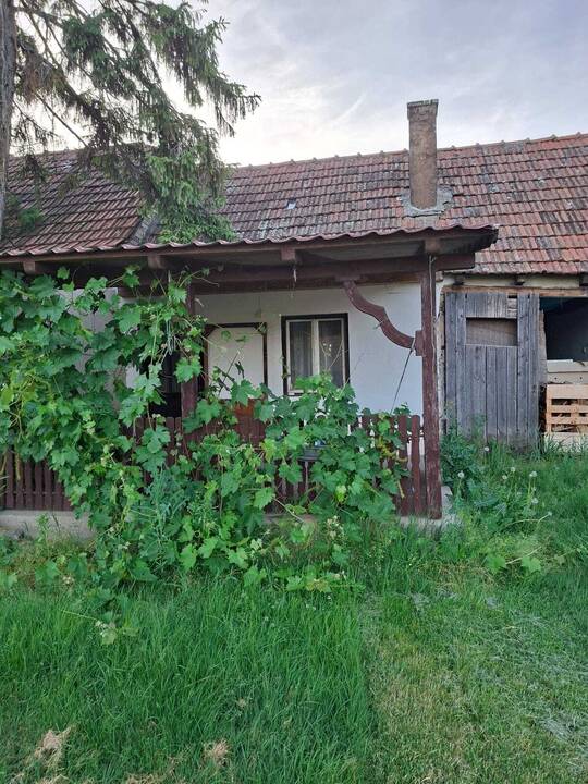 slika