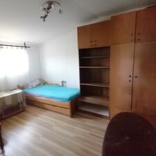 Subotica_Gat