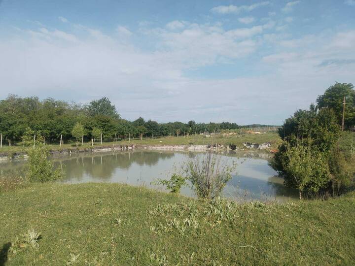 slika