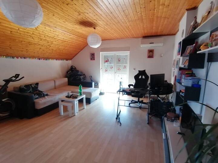 slika
