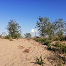 Subotica_Srpski Šor