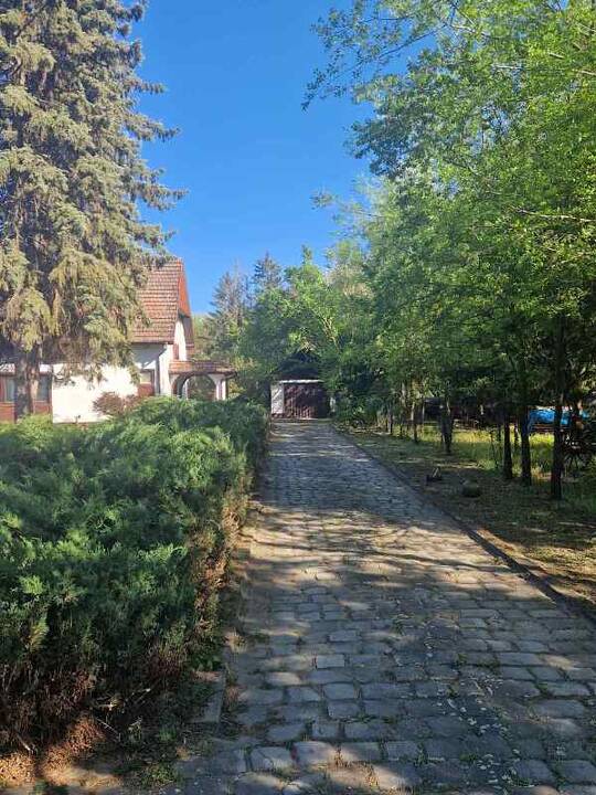 slika
