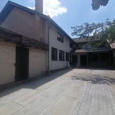 Subotica_Gat