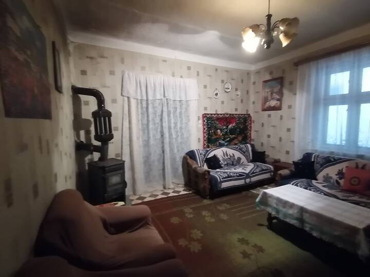 slika