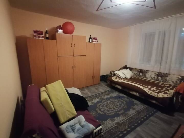 slika