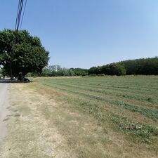 Subotica_Palić