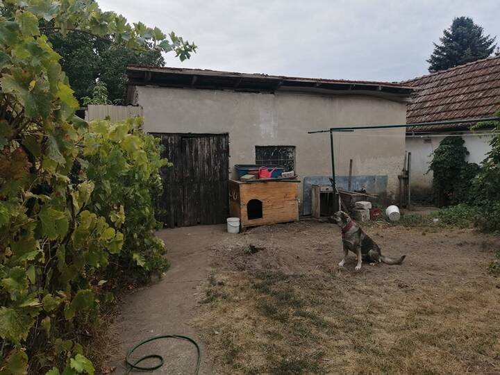slika