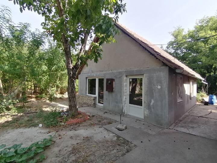 slika