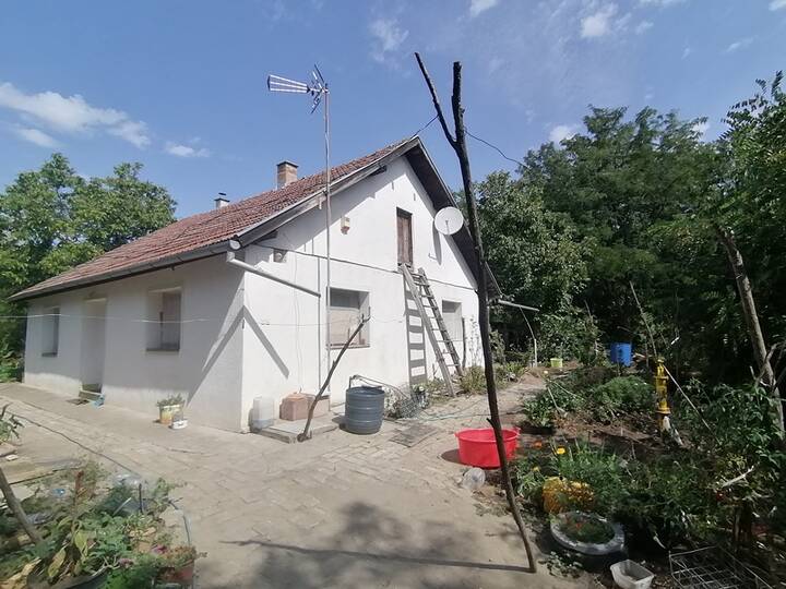 slika